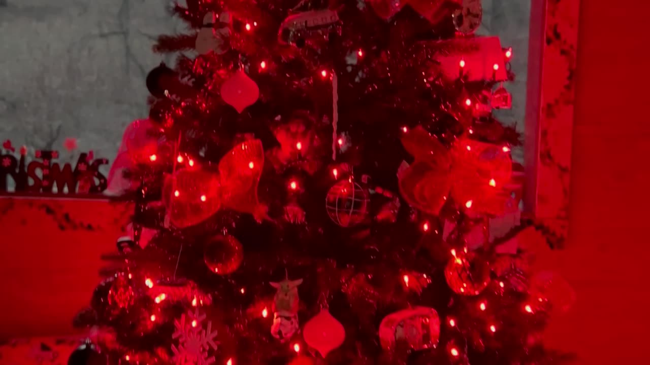 Our Christmas tree and ornaments