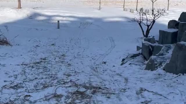 Snow sledding with daughter