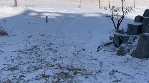 Snow sledding with daughter