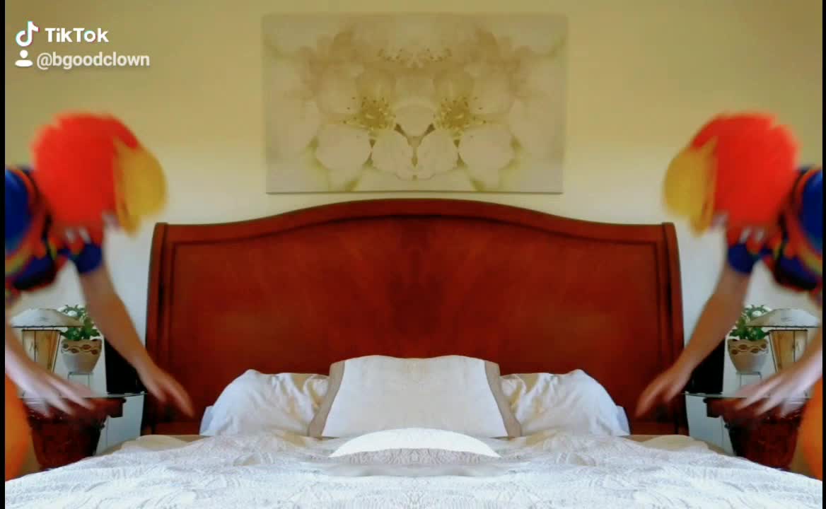 Mirror Image Manipulation of Clown Gymnastics Summersault on a Bed