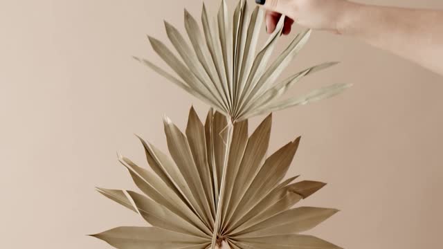 person-putting-dried-palm-leaf-on-a-vase