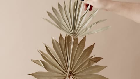 person-putting-dried-palm-leaf-on-a-vase