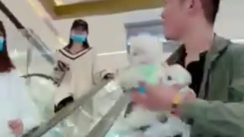 Public prank