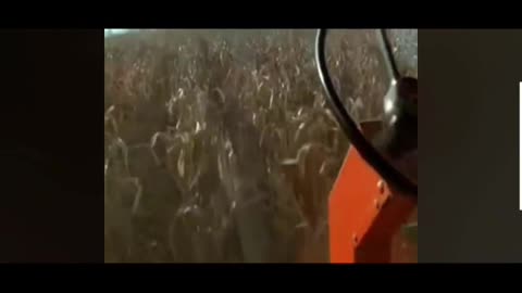 First Time Running a combine