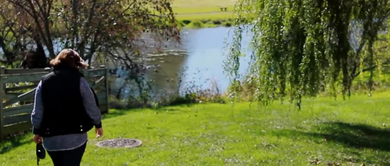 The Last Day # Saying Goodbye To My Family Dog