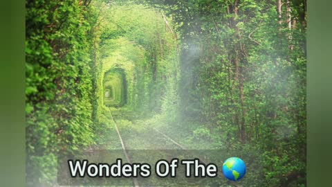 Wonders Of The World