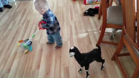 Baby and Baby Goats