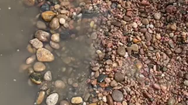 Gold mining - high banking the platte river in Denver for gold