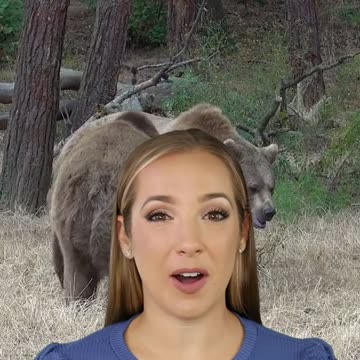 Paracosmic Convergence