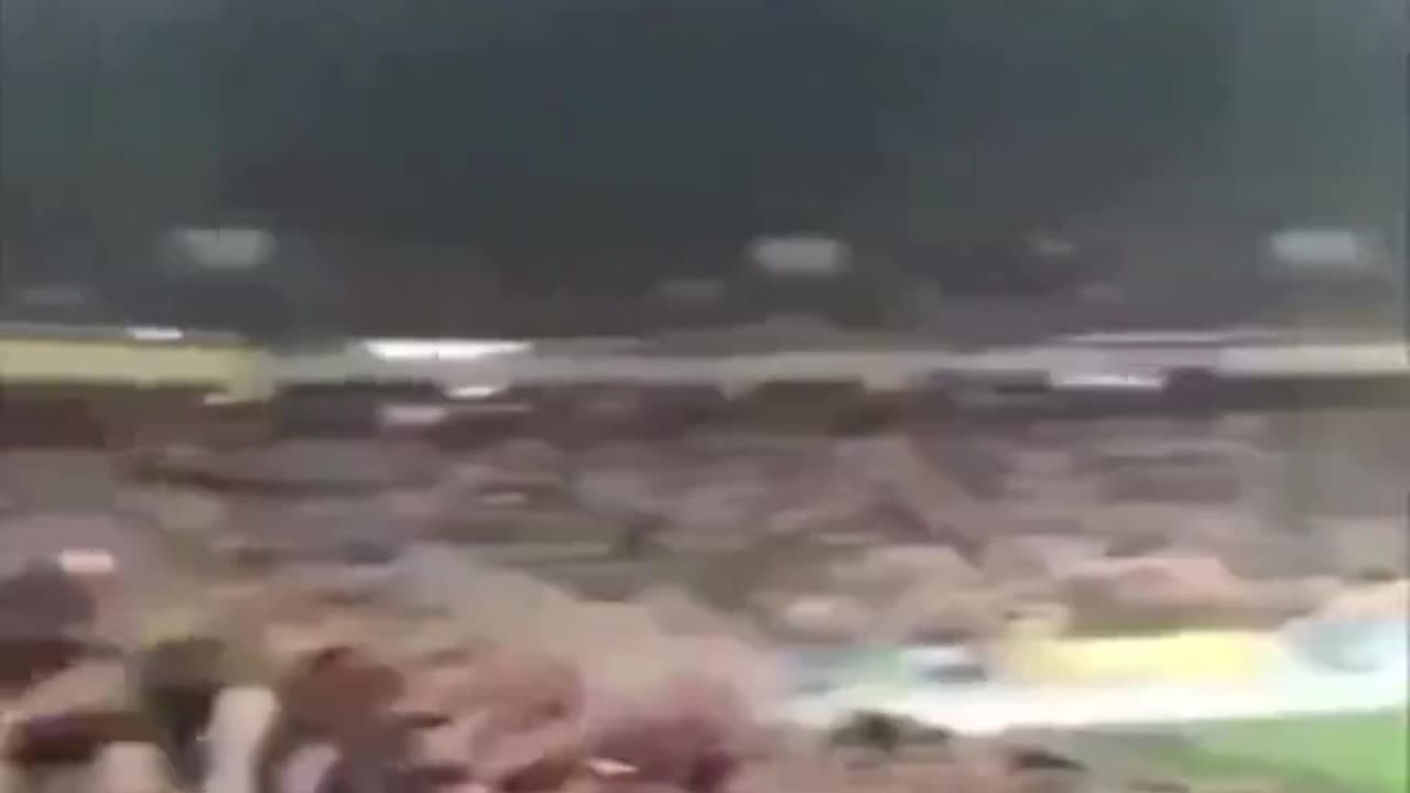 Sieg Heiling Ukraine Edition