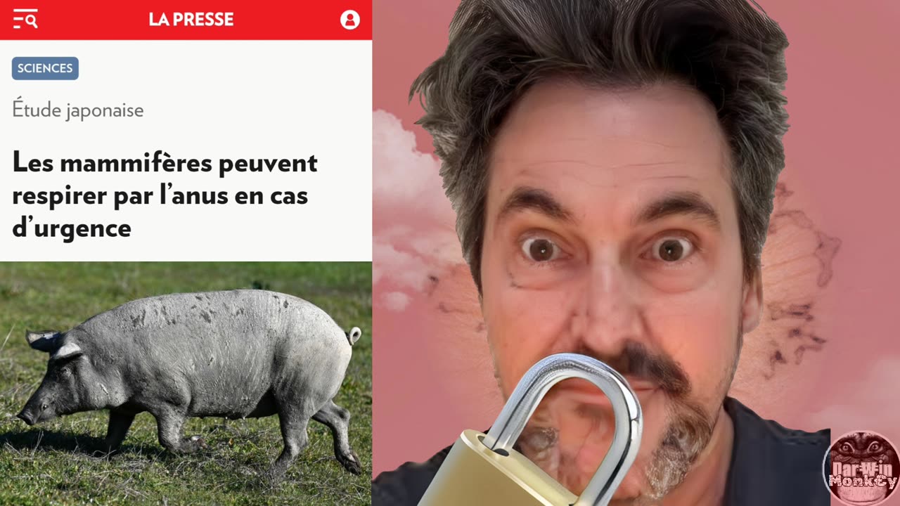 Les mammifères peuvent respirer par l'anus en cas d'urgence. 🐖💩🤡 🤓