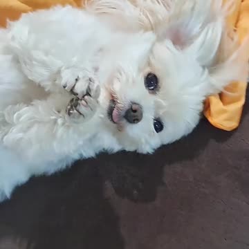 plz plz・・・please