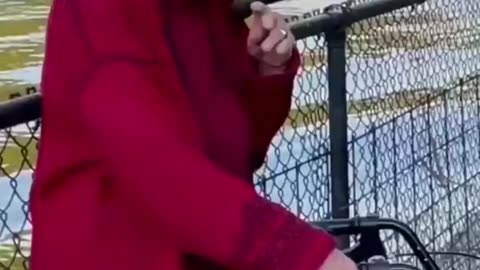 Best Funny Animal Videos of the year (2023)
