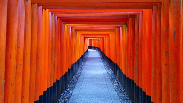 TORII GATES in Japan | Virtual TRAVEL TOUR Experience