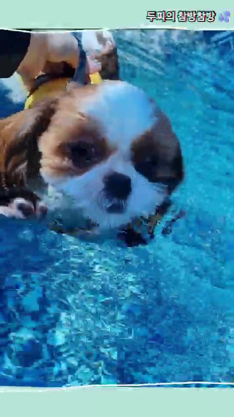 Arialief - Sciatic Nerve Pain Relief | High-Converting VSL Supplement BUY NOW AND SAVE