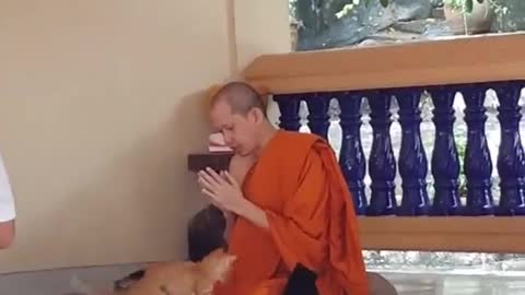 Monk Maintains Purrfect Concentration