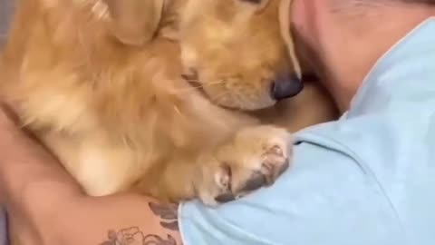 Cute dog moment