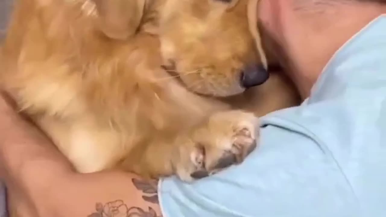 Cute dog moment