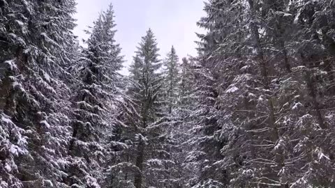 Celtic Christmas Carols Soft Holiday Christmas Music Winter