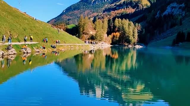 This incredible view ⛰️🌲🍂🍁