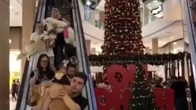 Must be picture day with Santa at the mall. 😜🐕🎅🏻