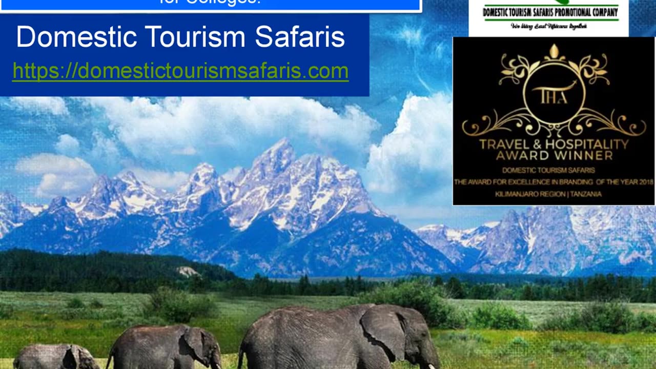 Unforgettable African Safari Tours in Tanzania with Domestic Tourism Safaris