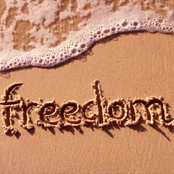 Episode Preview: Republican State Reps Support Overreaching Hunting Regulations S1E38