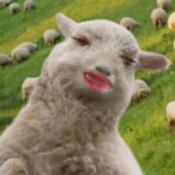 Frasi comuni del covidiota