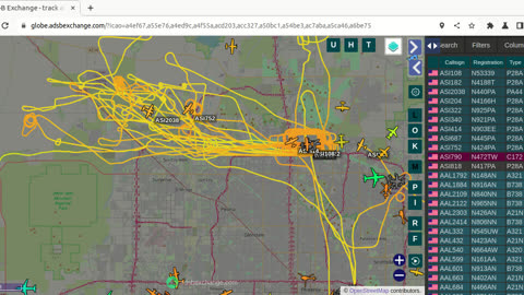 Bird Nazi Utah China still gang stalking North Phoenix AZ - Feb 2nd 2024