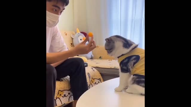 animal funny video 2022 latest funny videos