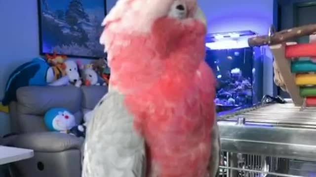 When you feel sleepy