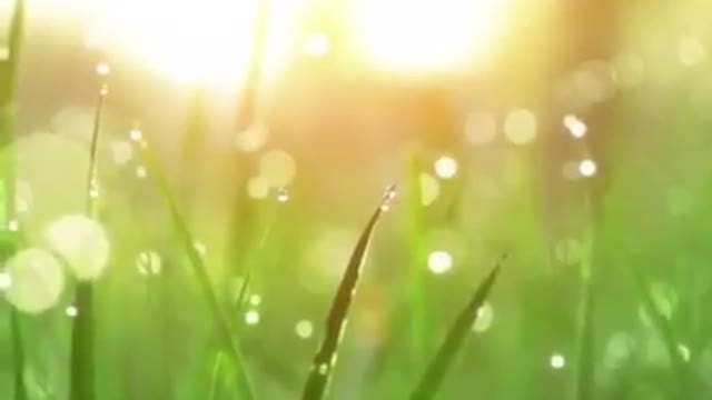 Time with God - July 11