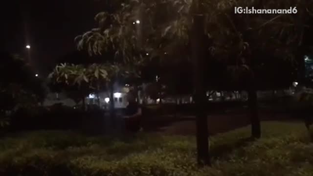 Guy runs and jumps into bushes at night