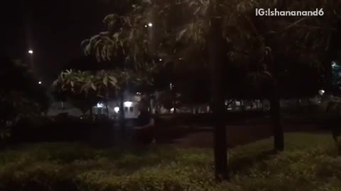 Guy runs and jumps into bushes at night