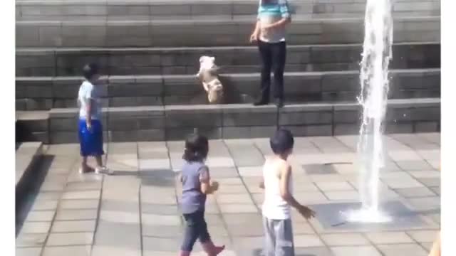 Kid's funny video