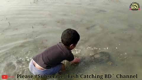 Amazing Hand Fishing /Traditional Boy Big Fishing by Hand in the pond/ছোট ছেলের হাত দিয়ে মাছ ধরা