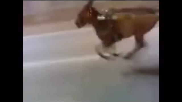 Max ran to his mother for money