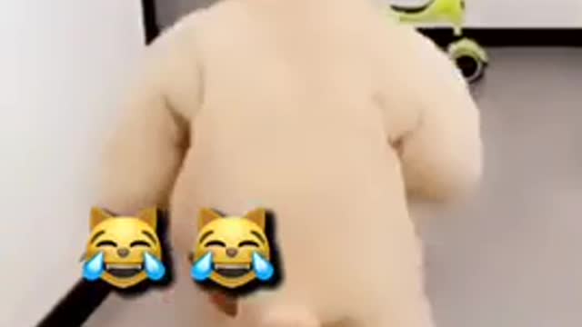 Cute Baby Viral 2022 Video 🤔#shorts #viral #cute #trending #ytshorts #funny #tiktok