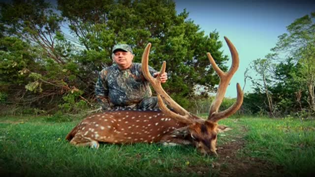 Texas Axis Deer Hunt