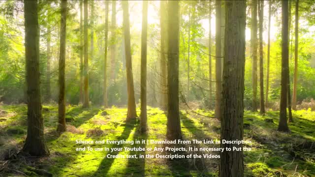 Meditation Song Relaxing - Stress Relief Song -