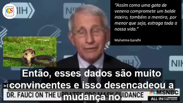 FAUCI - A VÍBORA