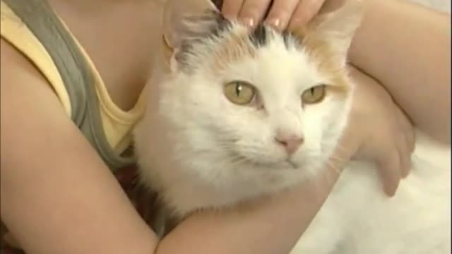 Cat with child