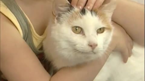 Cat with child