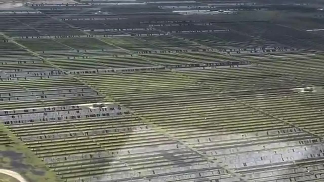 Solar energy plant destroyed Texas by hailstorm