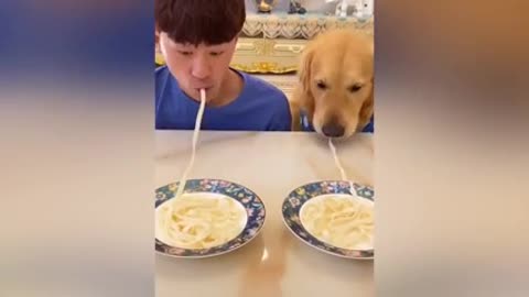 Dog love spaghetti😍🤣