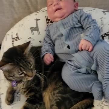 Tabby Toby Cat 'Freaks Out'- Bonded Best Friends Kitty & Baby Boy Cole- 'Rides on Kitty Caboose' 😺
