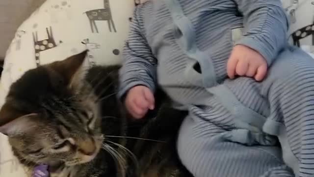 Tabby Toby Cat 'Freaks Out'- Bonded Best Friends Kitty & Baby Boy Cole- 'Rides on Kitty Caboose' 😺