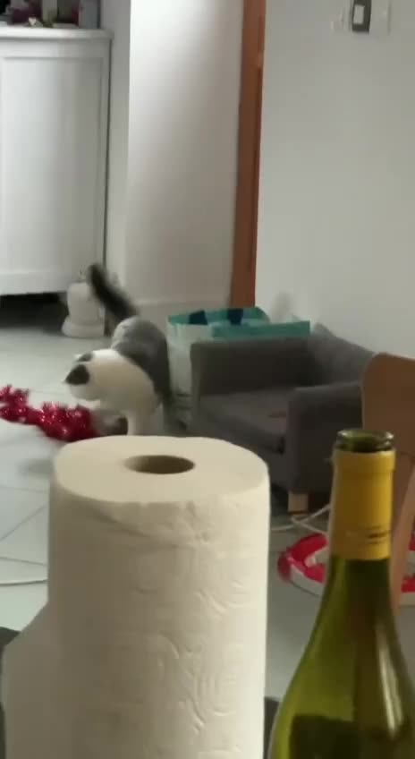 It’s the Christmas tree ornaments stealing season