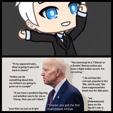 Racist Joe