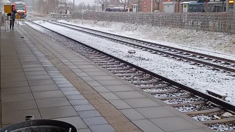 The train in Wolfenbüttel